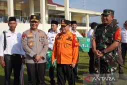 Kapolda Jambi pastikan tindak pelaku karhutla