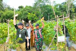 Dua desa di Kapuas Hulu menjadi contoh metode pertanian tanpa bakar