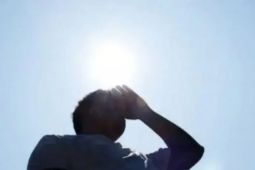 Cuaca panas ekstrem tewaskan hampir 500 ribu orang per tahun