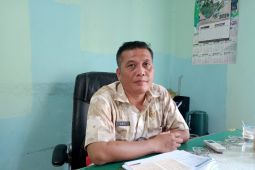 Produksi ikan di Batanghari sebanyak 3,8 ratus ton