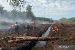 Tim gabungan berjuang padamkan kebakaran lahan gambut di Mukomuko