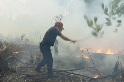 Tim Damkar BPBD Belitung berhasil padamkan kebakaran lahan