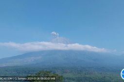 Semeru beberapa kali erupsi dengan tinggi letusan hingga 800 meter