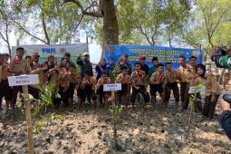 PNM Jambi tanam 5.000 mangrove di kawasan Tanjung Jabung Timur