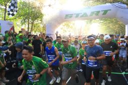 Ajang "Mangrove Eco Run 2024" diikuti ribuan peserta