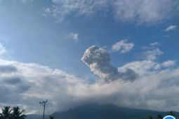 Warga empat desa waspada debu vulkanik Gunung Lewotobi
