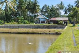 Wilayah Kalsel cerah hingga cerah berawan