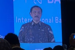 Menko Luhut bidik Afrika jadi pasar baterai EV produksi Indonesia