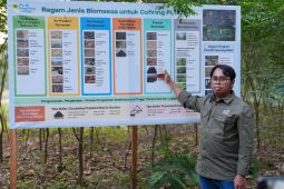 PLN EPI pasok 300 ton biomassa/tahun dari Gunungkidul, DIY