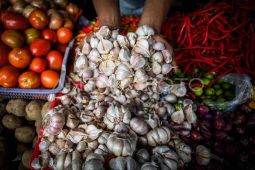 Harga beras, bawang, dan telur naik tipis awal Agustus