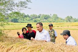 Bey mendapati kreativitas petani saat tinjau potensi kekeringan di Bogor