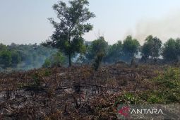 Terjadi 53 kasus kebakaran di Kota Bengkulu hingga Juli 2024