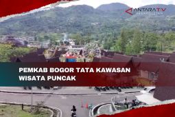Pemkab Bogor tata kawasan wisata Puncak