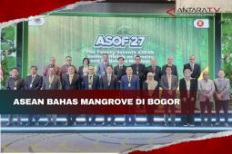 ASEAN bahas mangrove di Bogor