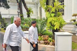Presiden Jokowi adakan sidang kabinet di IKN pada 12 Agustus