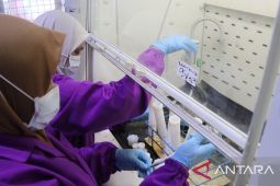 Sekolah di Indonesia dan BPOM diminta mengawasi jajanan anak