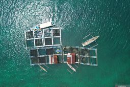 Meningkatkan PNBP sektor perikanan