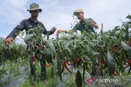 BPS catat Aceh alami deflasi bulanan dan inflasi tahunan pada Juli