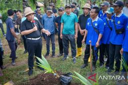 Pemkab Jembrana fokus kakao dan kelapa jadi komoditi unggulan
