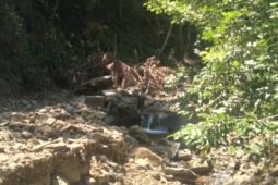 Sungai kering, bahan baku air Perumda Tirta di Abdya menipis
