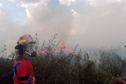 Damkartan Kota Jambi turunkan tujuh armada padamkan kebakaran lahan di Jambi Timur