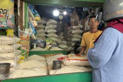Harga bawang naik dan beras medium turun di level Rp13.290 per kg