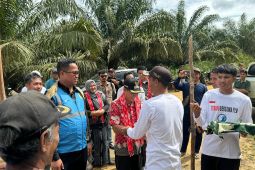 PLN Kalbar nyalakan Listrik 13 Desa di Sintang