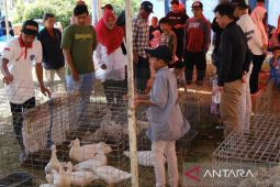 120 entok ikuti kontes nasional Sindoro-Sumbing 2024 di Temanggung