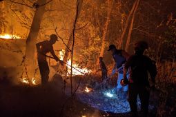 BPBD Ponorogo imbau warga waspada potensi karhutla