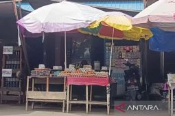 Harga Telur Itik di HSU Turun Drastis