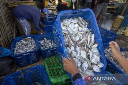 Produksi perikanan tangkap melampaui target
