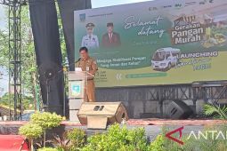 Kota Jambi sediakan pompa air di kawasan pertanian cegah kekeringan lahan pertanian