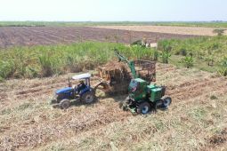 ID FOOD proyeksikan PG Rajawali II produksi 84 ribu ton gula tahun ini