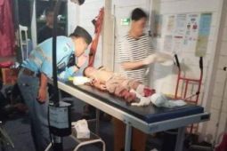 Bocah enam tahun tewas usai tertabrak truk bermuatan batu bara PT HPU-MGM