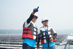 Foto - Dirut PLN tinjau Pembangkit Listrik Tenaga Surya Terapung Cirata