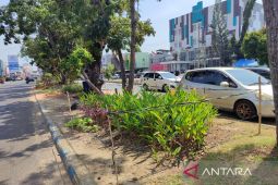 Pemkot Bengkulu usulkan Rp10 miliar untuk pembangunan RTH pada 2025