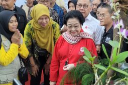 Megawati akan umumkan 305 bakal calon kepala daerah hari ini