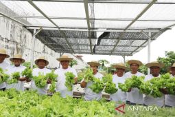 Lapas Banjarbaru panen raya pertanian dari hasil program kemandirian