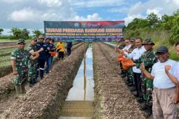 PT Timah tingkatkan kesejahteraan masyarakat lewat program PPM
