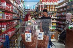 UMKM di Aceh Timur kembangkan produksi beras merah