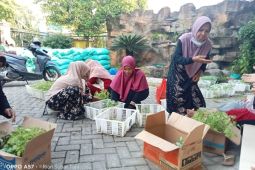 Dorong penggunaan pekarangan warga, DKPP Bojonegoro salurkan bibit sayur