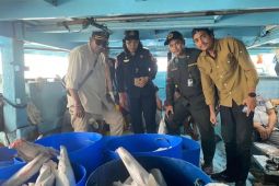 BKHIT Maluku gagalkan penyelundupan hiu asal Kepulauan Aru  tujuan Jawa Timur