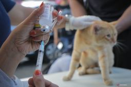 Dinkes tambah dua Rabies Center di Mukomuko