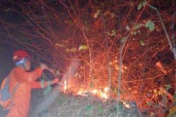 BPBD Trenggalek berlakukan status siaga karhutla