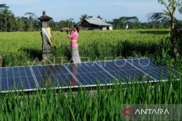 Kementerian ESDM genjot capaian pengurangan emisi melalui manajemen energi
