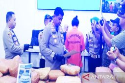 Mobil berisi 154 Kg ganja antarprovinsi terciduk di Madina, dua kurir berhasil diamankan