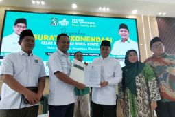 Ini pasangan calon yang didukung PKB untuk Pilkada Tangerang