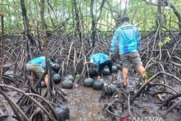 Dinas Perikanan Belitung latih masyarakat budidayakan kepiting bakau