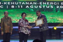 Pemkot Ambon  raih penghargaan pembina Proklim