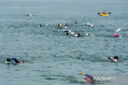 Sebanyak 80 peserta ikuti lomba renang lintas Teluk Palu meriahkan HUT RI
